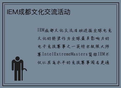 IEM成都文化交流活动