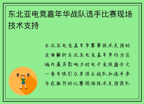 东北亚电竞嘉年华战队选手比赛现场技术支持